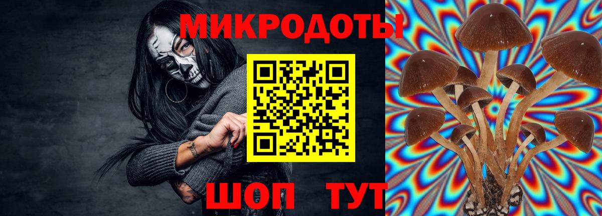 Галлюциногенные грибы Psilocybine cubensis  Вход с VPN  Новоалександровск  Псилоцибиновые грибы Psilocybe 