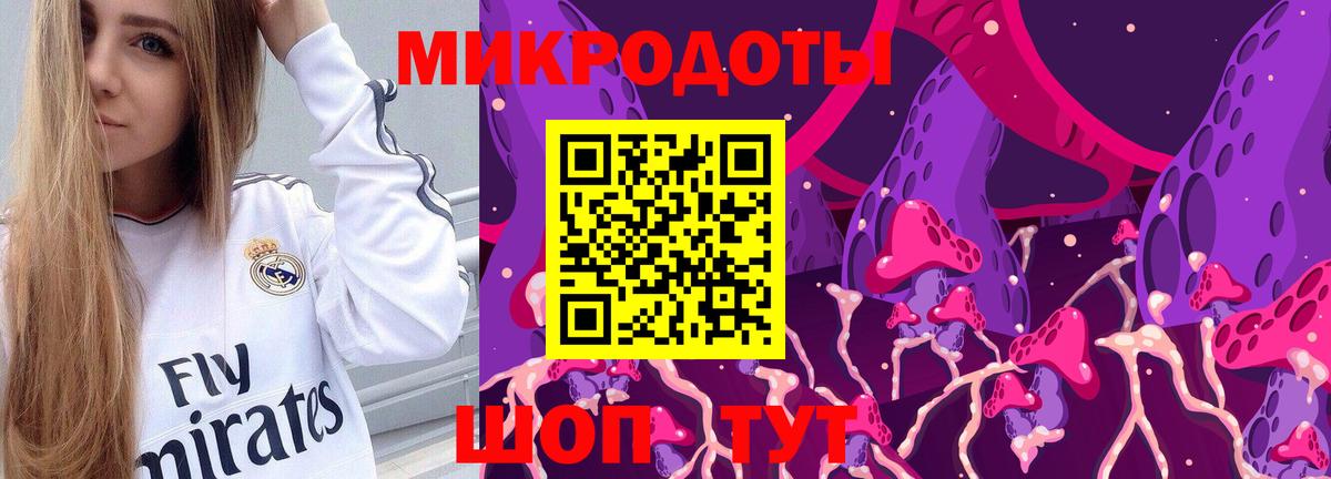 Галлюциногенные грибы Psilocybine cubensis Новоалександровск